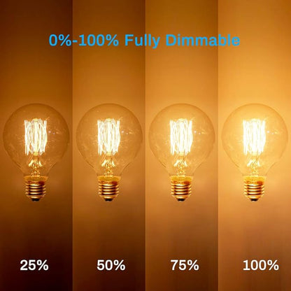 Edison Incandescent Light Bulbs 60 Watt, G25(G80) Vintage Light Large Bulb, 6-Pack Globe Bulbs 2100K Warm White, E26 Medium Base Dimmable, 240 Lumens Filament, Vanity Light Bulbs for Bathroom