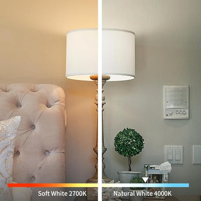 E26 Base Spiral LED Bulb, Soft White 2700K, ST58/ST19 Antique LED Filament Bulbs with 80+ CRI, 600 LM, 6W Equivalent to 60W, Antique Plastic Style for Home, Bedroom, Office, Farmhouse,4 PCS