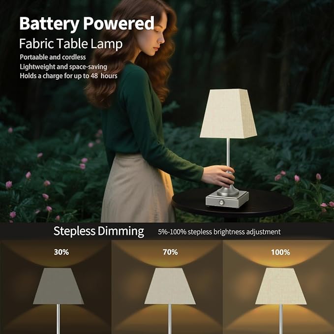 Rechargeable LED Table Lamps with Stepless Touch Control,Sliver Cordless Lamp for Living Room&Bedside&Patio&Shower,Small Desk Lamp(6000mAH Battery),1 Pack for Home Decor,Best Gifts for Family