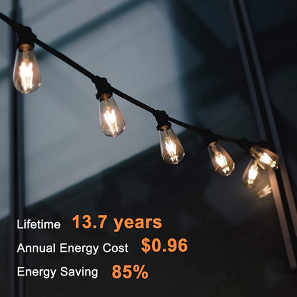 TJOY 20 Pack Vintage 8W ST58 LED Edison Light Bulbs, Dimmable, 60W Equivalent, 800Lumens, 2700K Warm White, E26 Base LED Filament Bulb, CRI80+, Antique Glass Style for Home, Bedroom, Office, Farmhouse