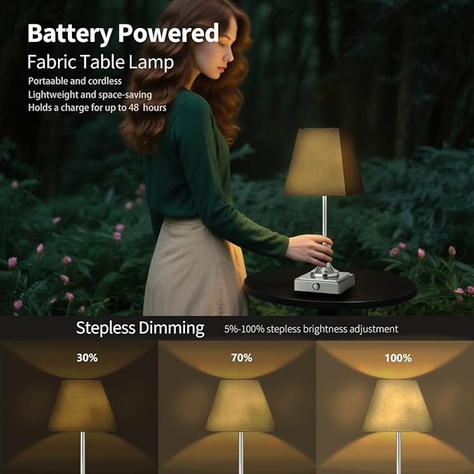 Rechargeable LED Table Lamps with Stepless Touch Control,Light Sliver Cordless Lamp for Living Room&Bedside&Patio&Shower,Small Desk Lamp(6000mAH Battery),1 Pack for Home Decor,Best Gifts for Family