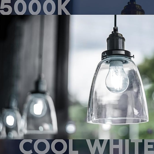 LUXRITE Vintage A19 LED Light Bulbs 60W Equivalent, 5000K Bright White Dimmable, 800 Lumens, Standard LED Edison Bulb 8W, UL Listed, E26 Base (6 Pack)