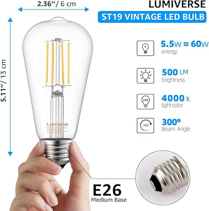 16 Pack ST19 Dimmable LED Edison Bulb, 5.5W (60W Equivalent) 500LM, CRI 95+, 4000K Cool White, E26 Medium Base, Vintage Filament, Clear Glass, Standard Type A Lamp for Kitchen, Bathroom, Bedroom