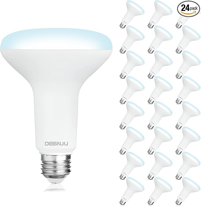 24 Pack Indoor Flood Light Bulbs, BR30 LED Bulb 7W Equivalent 65W, Dimmable Recessed Light Bulbs, 650LM 5000K Daylight 15000 Lifetime LED Can Light Bulb, Interior Home E26 Base