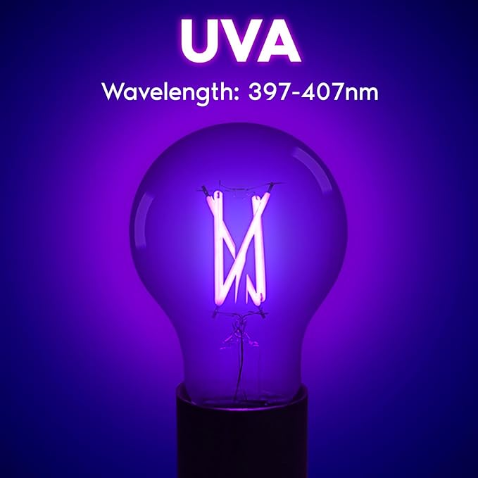 Luxrite A19 Edison UV LED Black Light Bulb, 6W Filament Blacklight Bulb, UVA 397-407nm, Enclosed Fixture Rated, E26 Base, Glow in the Dark for Halloween, Party, Body Paint, Fluorescent Poster (3 Pack)