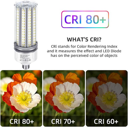 150W LED Corn Cob Light Bulb 2Pack, 700W MH/HPS Equivalent, 5000K Daylight, E26 Base with E39 Mogul Base adapters, Commercial Industrial Lighting Gyms Garage Workshop Bay Light Fixture