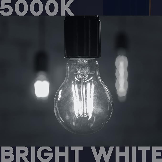 LUXRITE Vintage A19 LED Light Bulbs 100 Watt Equivalent, 1600 Lumens, 5000K Bright White, Dimmable Edison Light Bulbs, 12W, Damp Rated, UL Listed, Clear Glass Filament Bulb, E26 Medium Base (2 Pack)