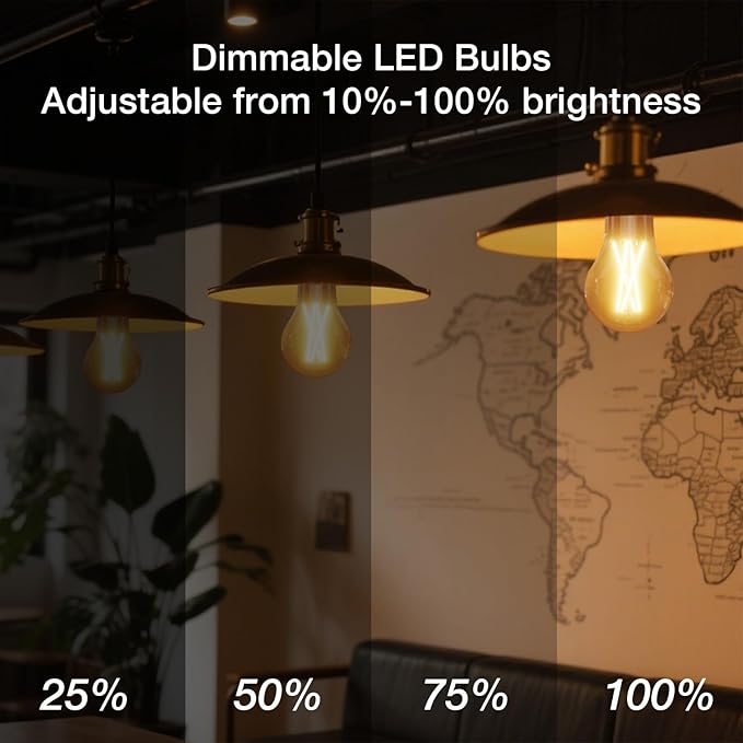 DAYBETTER 6 Pack A19 Vintage LED Edison Bulbs, 60W Equivalent Dimmable LED Bulbs, High Brightness 2700K Warm White, 800 Lumens, 8W E26 Standard Base, CRI80+, Clear Glass Filament Bulb for Living Room