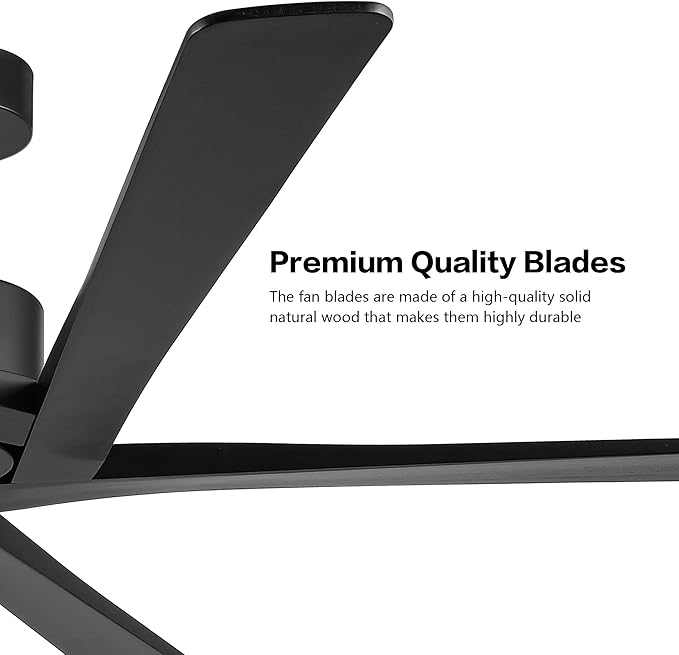 WINGBO 54 Inch DC Ceiling Fan without Lights, 5 Reversible Carved Solid Wood Blades, 6-Speed Noiseless DC Motor, Ceiling Fan No Light with Remote, Indoor Ceiling Fans in Matte Black Finish, ETL Listed