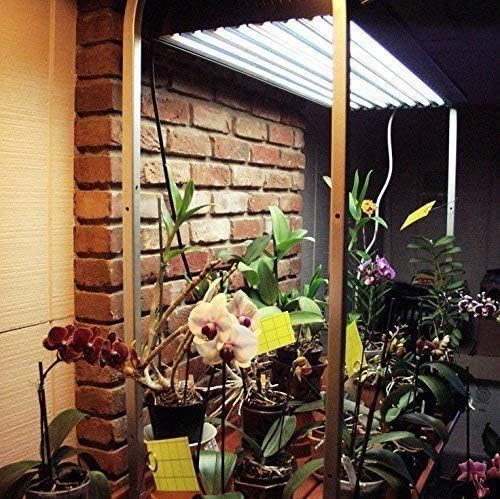 F54T5/841/HO Fluorescent Light Bulb, 46 Inch, T5 54 Watt Replacement Tube, 4100K Cool White, 4200 Lumens, High Output, G5 Bi-Pin Base, 4FT T5 Grow Light Bulbs - 5 Pack