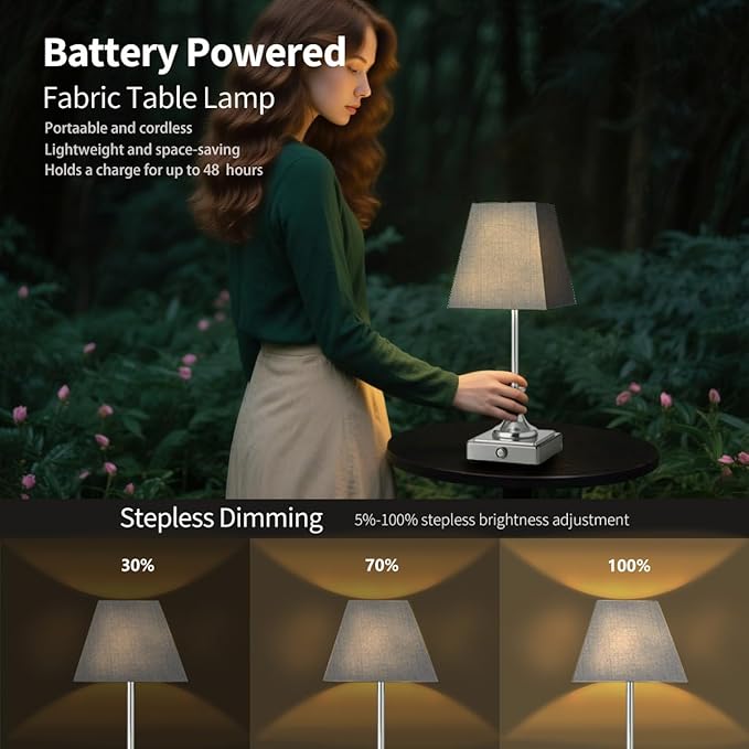 Rechargeable LED Table Lamps with Stepless Touch Control,Light Sliver Cordless Lamp for Living Room&Bedside&Patio&Shower,Small Desk Lamp(6000mAH Battery),1 Pack for Home Decor,Best Gifts for Family