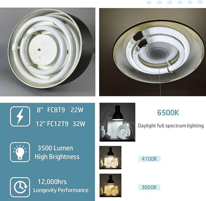 Circular Light Bulbs Set FC12T9-DL and FC8T9-DL Daylight Fluorescent Lamp,Circline 6500K 12inch T9 32Watts and 8inch 22Watts Replacement for Ceiling Light,12,000hrs Long Lifespans