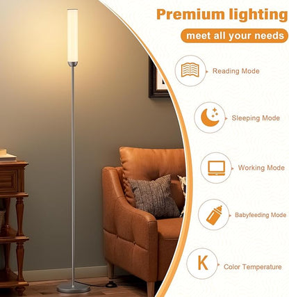 Ambimall LED Floor Lamp with Remote Control, 65" Standing lamp with Stepless Adjustable 3000K-6500K Colors & 30-100% Brightness, Foot Switch(Deep Grey)