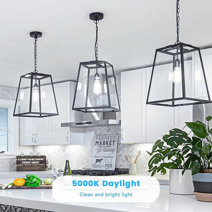 Brightever Vintage LED Edison Bulbs 60 Watt Equivalent, Dimmable 5000K Daylight White Light Bulbs, 7W, 850LM E26 LED Bulb, 90+CRI, ST58 Clear Glass Antique Decor Filament Lightbulbs for Room, 6-Pack