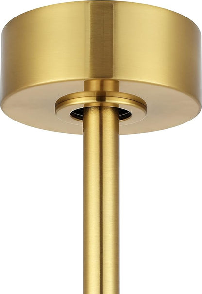 WINGBO 64 Inch DC Ceiling Fan without Lights, 5 Reversible Carved Solid Wood Blades, 6-Speed Noiseless DC Motor, Ceiling Fan No Light with Remote, Brass Finish with White Blades, ETL Listed