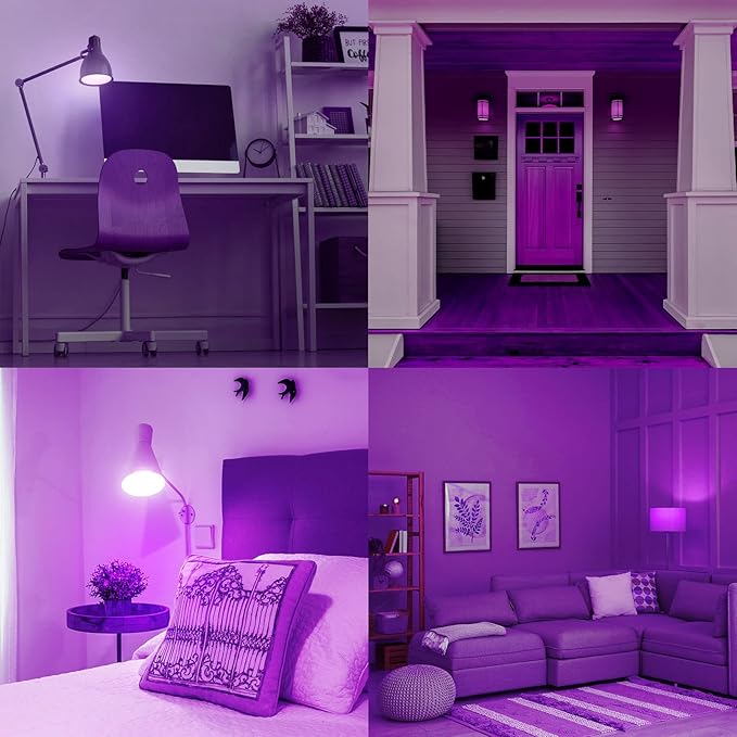 Luxrite E12 LED Filament Purple Light Bulbs, 4.5W (40W Equivalent), Colored Glass Candelabra Bulb, UL Listed, E12 Base, Indoor Outdoor, Porch, Decoration, Party, Holiday, Event, Home Lighting (2 Pack)
