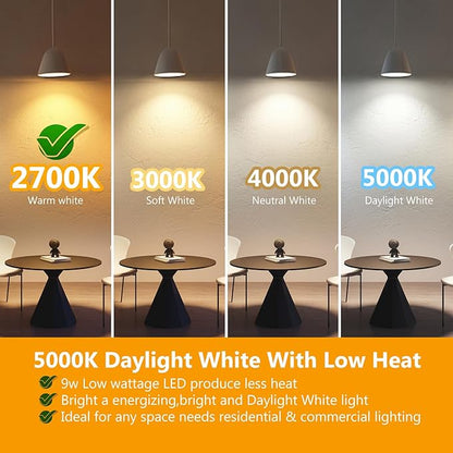 DAYBETTER BR30 LED Light Bulb 65W Equivalent, Dimmable BR30 LED Recessed Light Bulb, 2700K Warm White, 800 Lumens, E26 Standard Base, 80 CRI, Flood Light Bulbs for Bathroom Bedroom Kitchen, 6 Pack