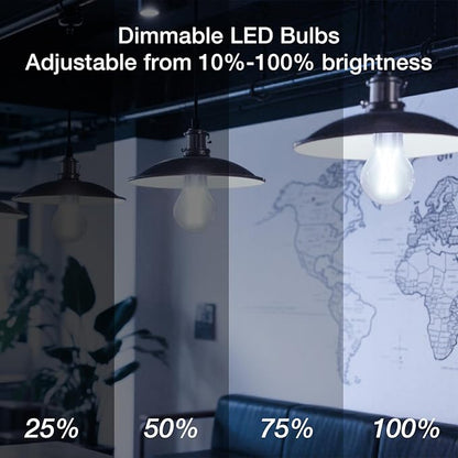 DAYBETTER 24 Pack A19 Vintage LED Edison Bulbs, 60W Equivalent Dimmable LED Bulbs, High Brightness 5000K Daylight, 800 Lumens, 8W E26 Standard Base, Ultra-Bright, CRI80+, Clear Glass Filament Bulb