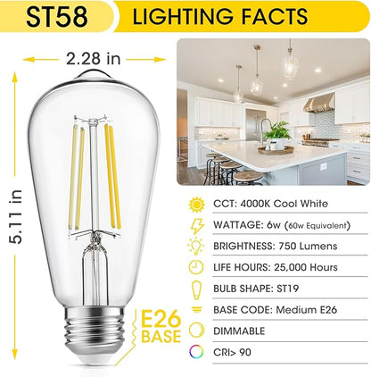 LED Edison Light Bulbs, 60W Equivalent Incandescent Edison Bulbs, Efficient 6W ST58, E26 Medium Base, Dimmable, 750 Lumens, 4000K, Cool White, 90+ CRI, Clear - 24 Count (Pack of 1)