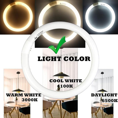 FC12T9/CW 32W Cool White Round Fluorescent Light Bulb, 12 Inch T9 32 Watts Circular Bulbs, 12'' FCL 32 Circline Bulb 4100K 841, G10q 4 Pin Prong Base, 2 Pack