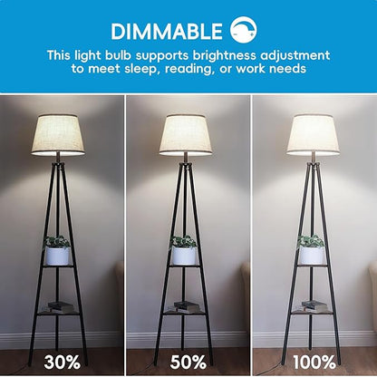 Jensense Edison LED Light Bulbs 8Watt Dimmable Light Bulbs 5000K Daylight White, E26 LED Bulb 60watt Equivalent, Vintage Bulbs 800lm CRI 90 Clear Glass 8 Packs