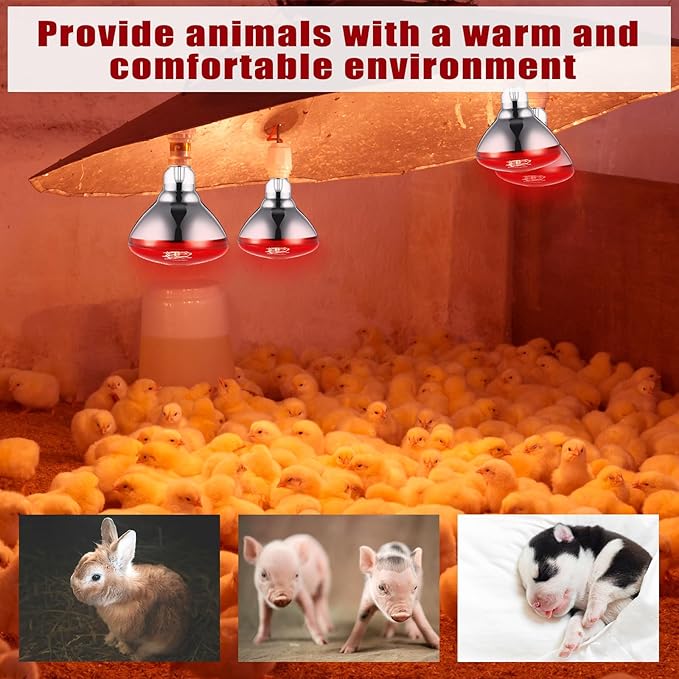 VIHOSE 4 Pack Infrared Heat Lamp for Chickens 250watt 120v Thickened Red Heat Lamp Bulbs for Food Service, Reptile, Pet, Bathroom, Light Therapy Use E26 Base