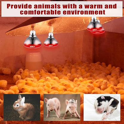 VIHOSE 2 Pack Infrared Heat Lamp for Chickens 250watt 120v Thickened Red Heat Lamp Bulbs for Food Service, Reptile, Pet, Bathroom, Light Therapy Use E26 Base