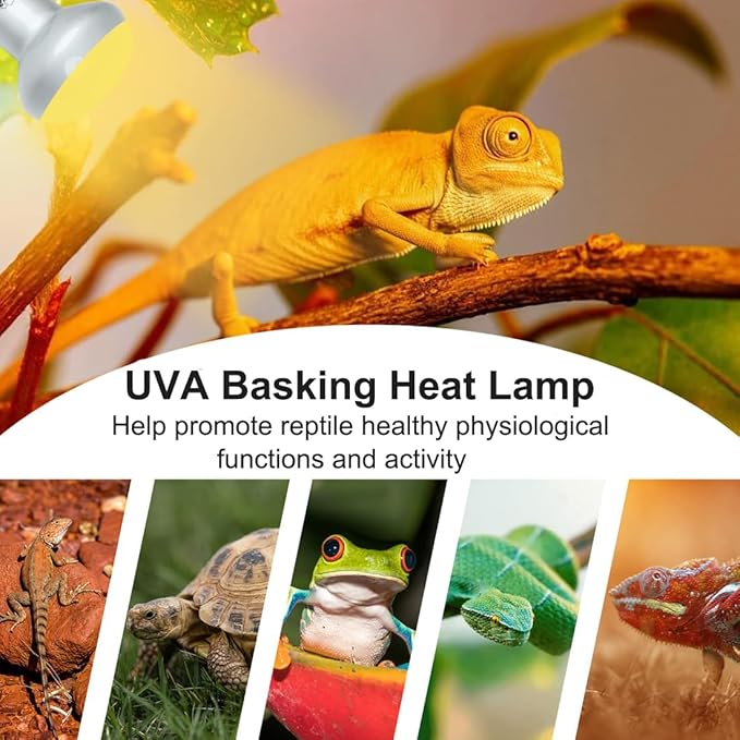 Vinaco G9 Heat Lamp Bulbs for Reptile, Dimmable Night Red UVA UVB Reptile Heat Lamp G9, 2 Pin Base Mini G 9 Halogen Bulbs 50W 120V, Infrared Heat Lamp for Bearded Dragon Gecko Turtle Lizard