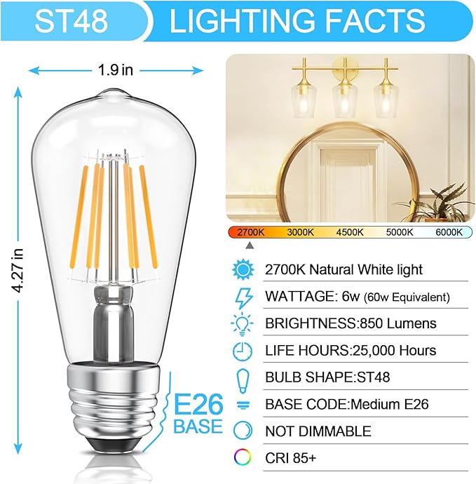 Ralbay ST48 Vintage LED Edison Bulbs 10 Pack, 60W Equivalent, Warm White 2700K, Clear Glass E26 Medium Base