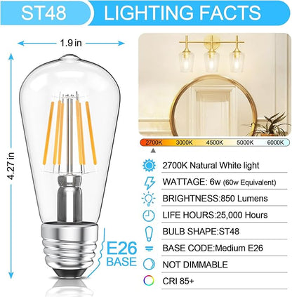 Ralbay ST48 Vintage LED Edison Bulbs 10 Pack, 60W Equivalent, Warm White 2700K, Clear Glass E26 Medium Base