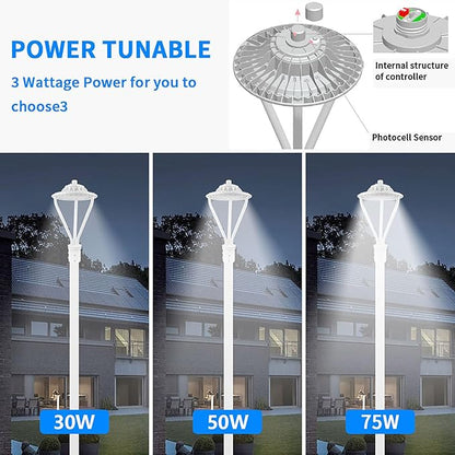 LED Post Top Light 30/50/75W Adjustable 9750 LM 3000/4000/5000K LED Circular Area Light Outdoor Pole Lights with Photocell, IP67 Parking Lot Lights Fixture Commercial Lighting, 100-277V ETL&DLC Listed