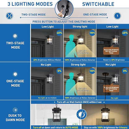 Motion Outdoor Pendant Light Fixture with Dusk to Dawn Sensor Exterior Hanging Lantern with Adjustable Chain Black with Seeded Glass Outside Lights for House Patio Front Porch Lighting