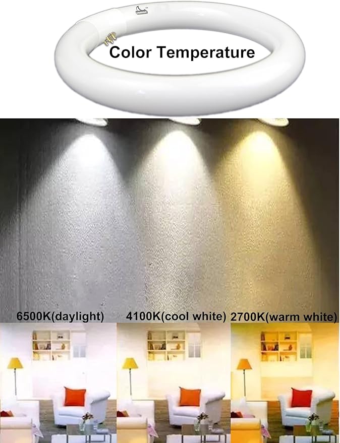 Circular Bulb FC8T9/DL, 8 Inch T9 22W Circline Fluorescent Light Bulbs, Replacement Round Fluorescent Lamp Tube, Bright Daylight 6400K 1250 Lumens, G10q 4 Pin Base, 2 Pack