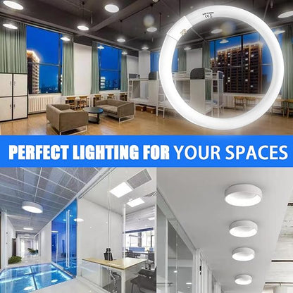 FC16T9 40 Watt and FC12T9 32W Set 6500K, 16 inch T9 40W Circline Light Bulbs, 12 inch 32W Circular Fluorescent Round Bulb CRI 80, DL 4700 Lumen G10q