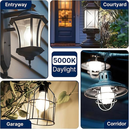 FLSNT 200W Equivalent A23 LED Light Bulbs, Efficient 17W, 3010Lumens, 5000K Daylight, CRI82, E26 Medium Base, Clear Glass, 4 Pack, Non-Dimmable