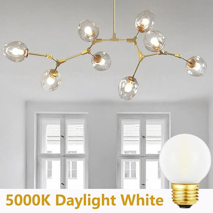 Dimmable E26 Edison Bulb, Frosted G16.5 Light Bulb 6W Equal 60 watt Light Bulb, 5000K,600LM AC120V, Frosted Globe LED Bulbs 40W for Pendant,Chandeliers,Vanity,6Pack