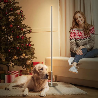 Marlrin Minimalist Corner Floor Lamp 2700K-6500K Dimmable with Remote Control 57.8" Height Metal Slim Ambient Standing LED Light Modern Design Decorative Lamp for Living Room Bedroom (Silver)