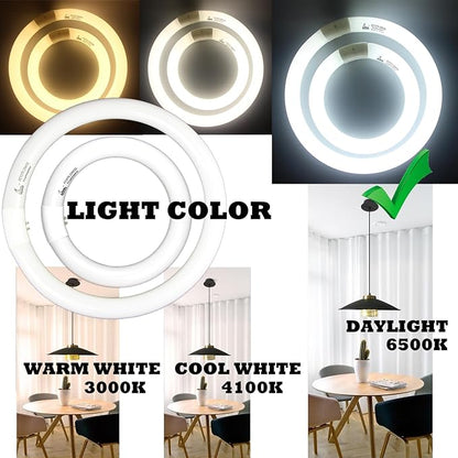 FC8T9 22W and FC12T9 32W Daylight Set , Round Fluorescent Bulb 8 inch T9 22 Watts & Circular Light Bulbs 12 inch 32 Watts kit, Circline Kitchen and Bath Fluorescent Lamp, CRI 80, DL 6500K, G10q Prong