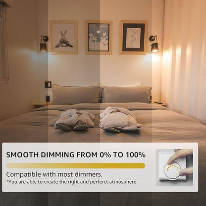 ST19 Dimmable LED Edison Bulb, 5.5W (60W Equivalent) 500LM, CRI 95+, 2700K Soft White, E26 Medium Base, Vintage Filament, Clear Glass, Standard Type A Lamp for Kitchen, Bathroom, Bedroom, 4 Pack