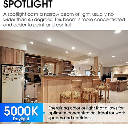 Energetic PAR38 Outdoor LED Flood Light Bulb, 5000K Daylight, 90 Watt Equivalent, Wet Rated, 900LM, E26 Base, Non-Dimmable,12 Pack