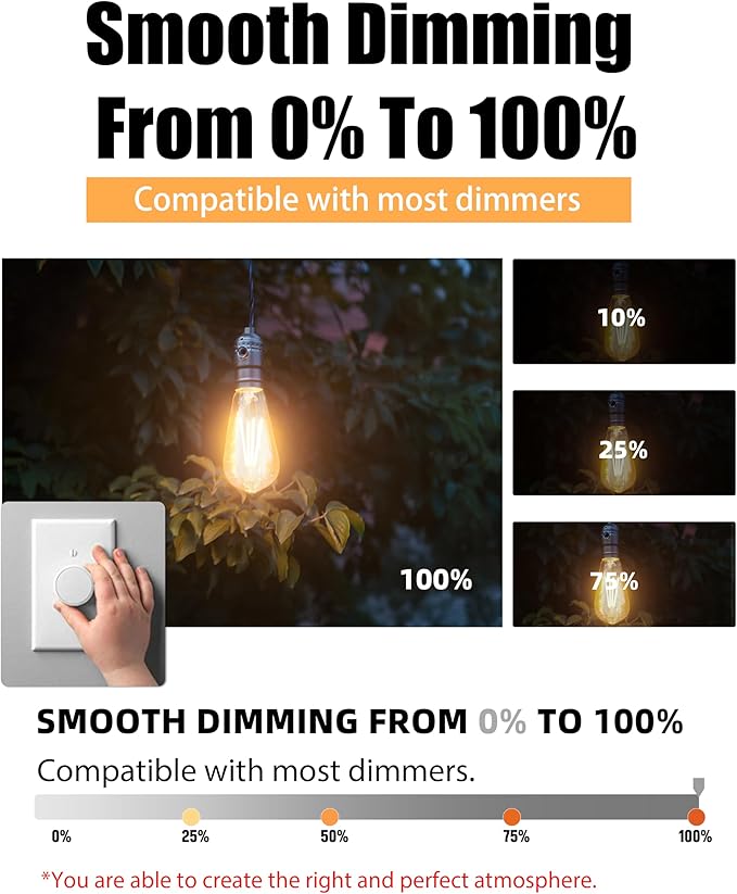 Lumiverse Dimmable Edison Bulbs 60 Watt LED, 2700K Soft White, Antique Style ST19/ST58 LED Filament Bulbs, E26 Base LED Bulb 5.5W, Clear Glass, Pack of 36