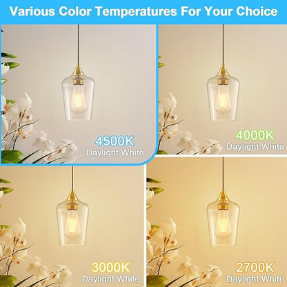 Ralbay ST64 Vintage LED Edison Bulbs 60 Watt Equivalent 6-Pack, Bright Natural White Light 4500K, E26 Antique LED Filament Bulbs, E26 Medium Base