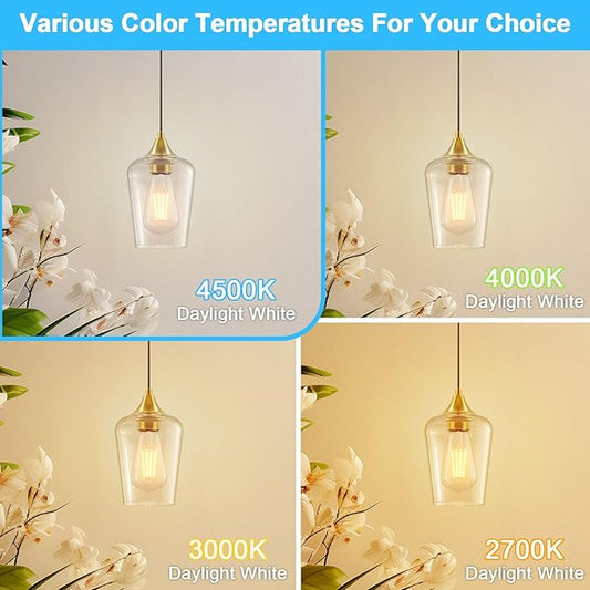 Ralbay ST64 Vintage LED Edison Bulbs 10 Pack, 60W Equivalent, Bright Natural White Light 4500K, Clear Glass E26 Medium Base