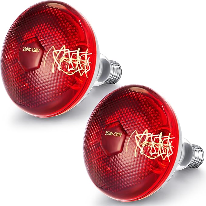 VIHOSE 2 Pack Infrared Heat Lamp for Chickens 250watt 120v Thickened Red Heat Lamp Bulbs for Food Service, Reptile, Pet, Bathroom, Light Therapy Use E26 Base