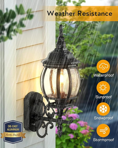 VIANIS Black Outdoor Light Fixture, 2 Pack Exterior Sconces Wall Lighting, Modern Outside Porch Lights for House Wall Mount, Dusk to Dawn Outdoor Lantern Light Fixture for Patio, Outside Garage Lights