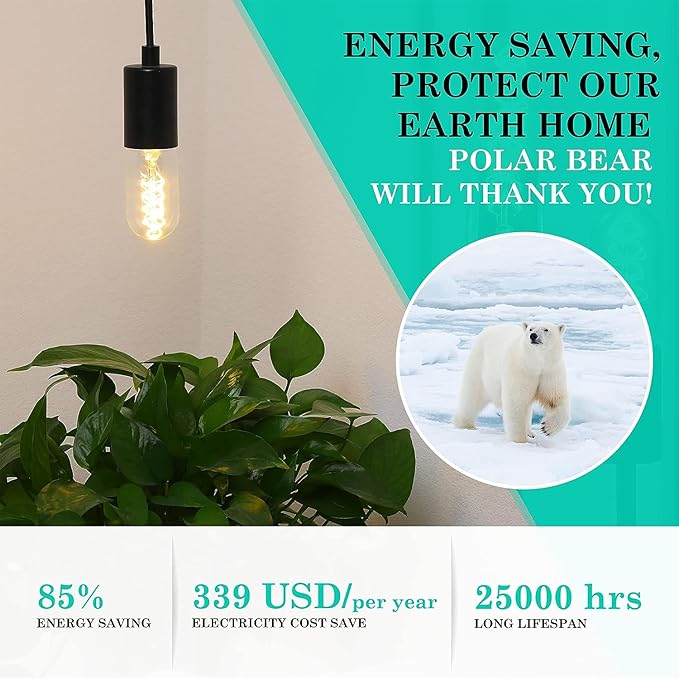 AMDTU Non-dimmable Edison Bulbs 40 Watt 2700K Soft White, Super Thin Spiral Filament Vintage LED Light Bulbs 2 Pack, T45 Incandescent Tubular Bulb 40W Equivalent, Clear Glass 4W 120V E26 Base