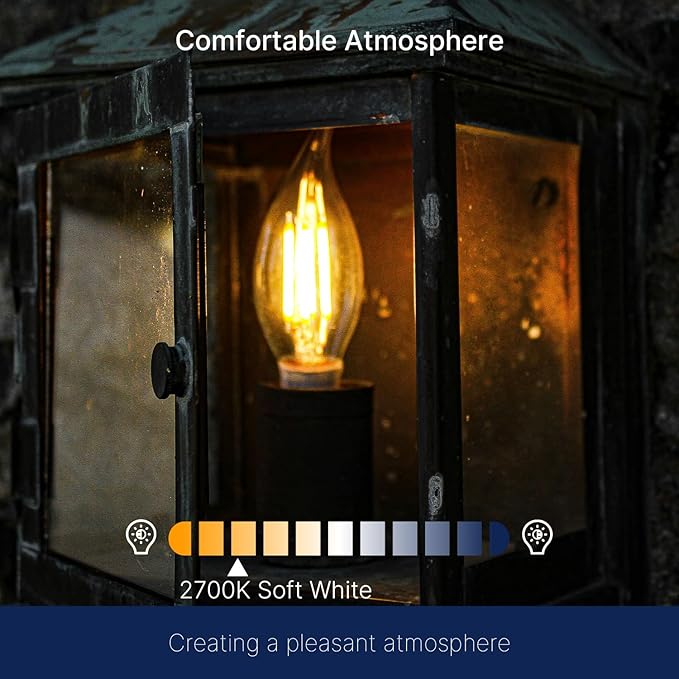 FLSNT 2700K Soft White LED Chandelier Edison Bulbs, 100W Equivalent, Dimmable CA11 E26 Base LED Candelabra Bulbs, 800LM, 6 Pack UL,CA65 Listed.