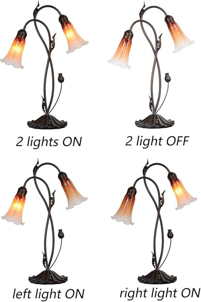 Bieye L10698 Lily Flower Blown Glass Accent Table Lamp for Living Room Bedroom Decoration (2-Light, Orange)