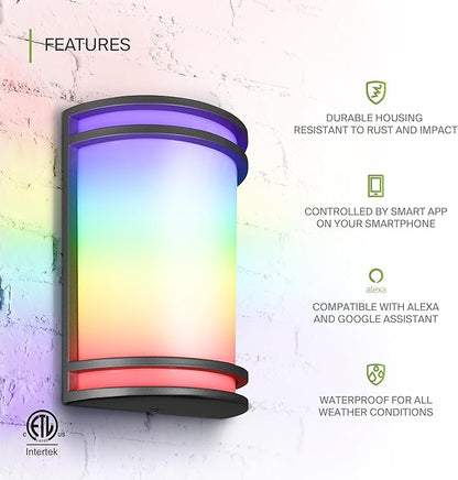 ASD 10 Inch Smart RGBW LED Outdoor & Indoor Wall Mount Light Fixture - Black RGB Wall Sconce Exterior Lighting - 120-277V 15W 2700-6500K Dimmable, Remote Control, Alexa - Front Door, Patio ETL 2 Pack