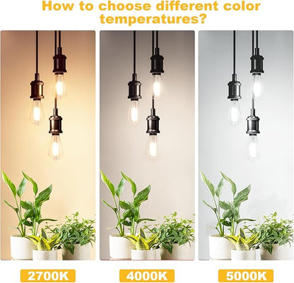 Svater Vintage LED Edison Light Bulb 60W Equivalent, Decorative Antique Filament Light Bulbs with 85+ CRI, Neutral White 4000K, 750 Lumens, E26 Base, Dimmable 12-Pack